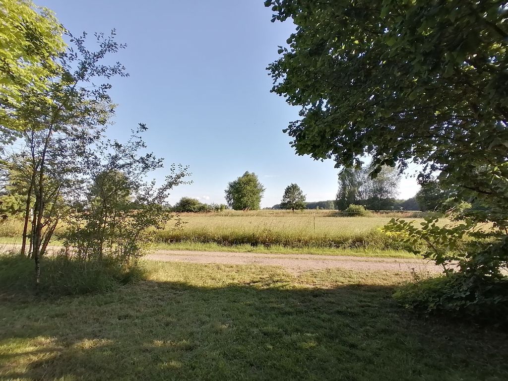 Un coin de nature calme dans la verdure près de Stralsund