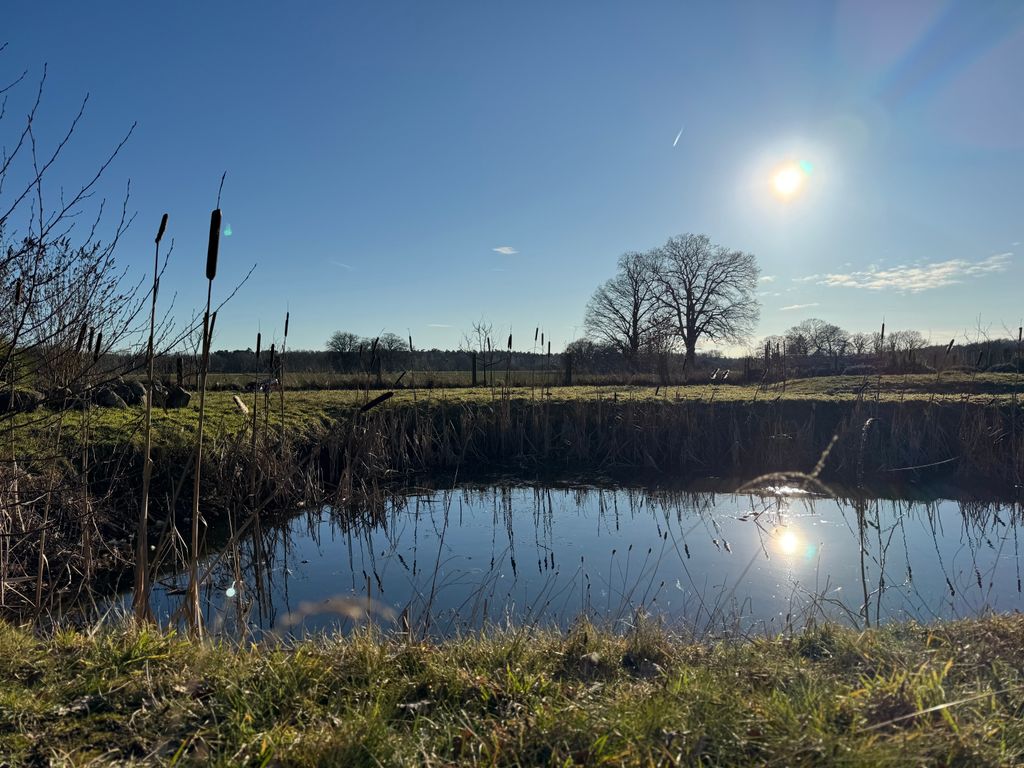 Une oasis de calme au bord du lac Steinhuder Meer - Emplacement isolé « Champ et étang »