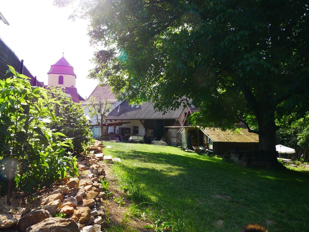 Under the walnut tree in the untouched Ettetal valley