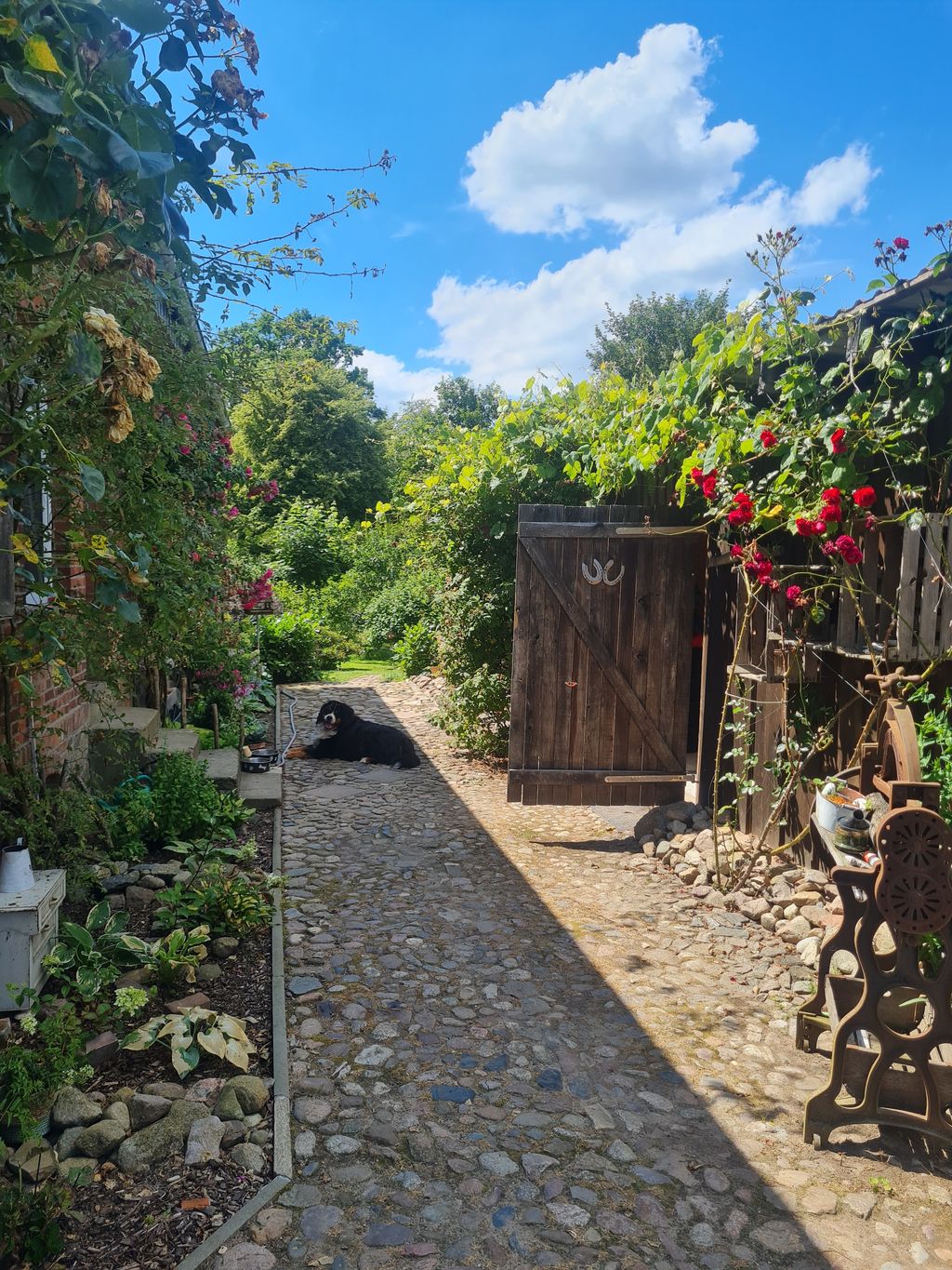 Suitable place for travelers or campers