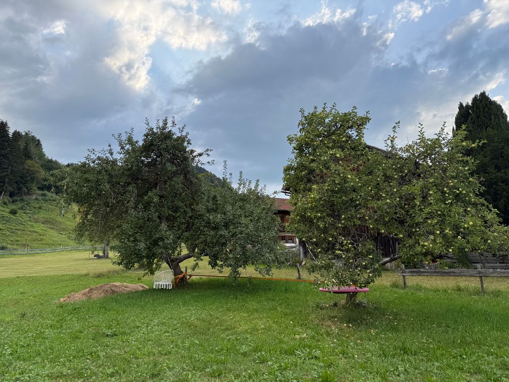 Camping Spot Under an Apple Tree in the Allgäu