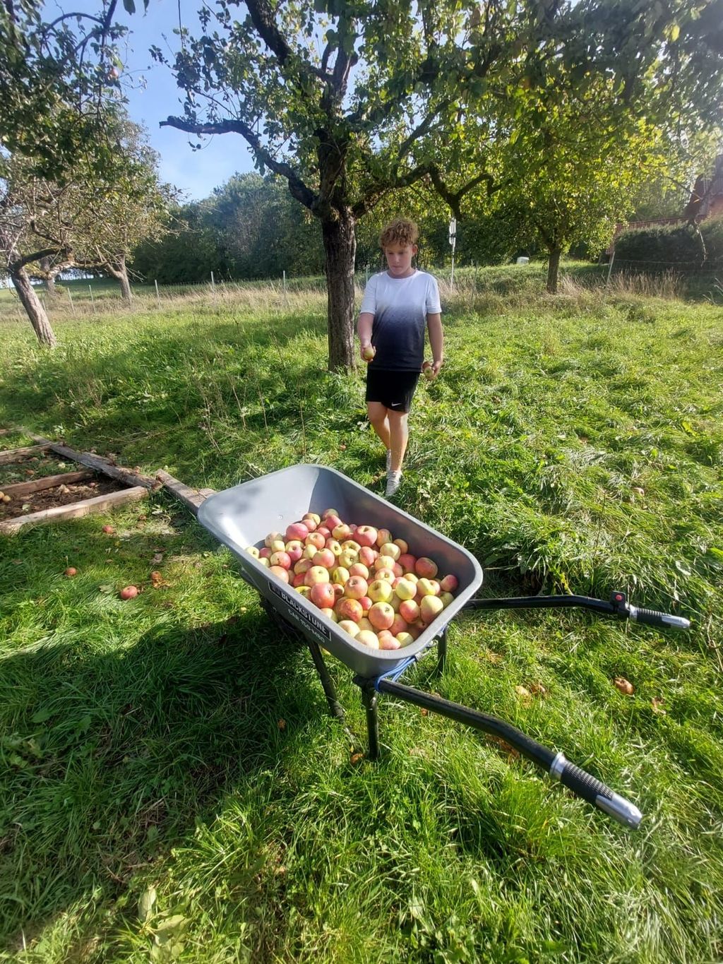 Under the walnut tree in the untouched Ettetal valley
