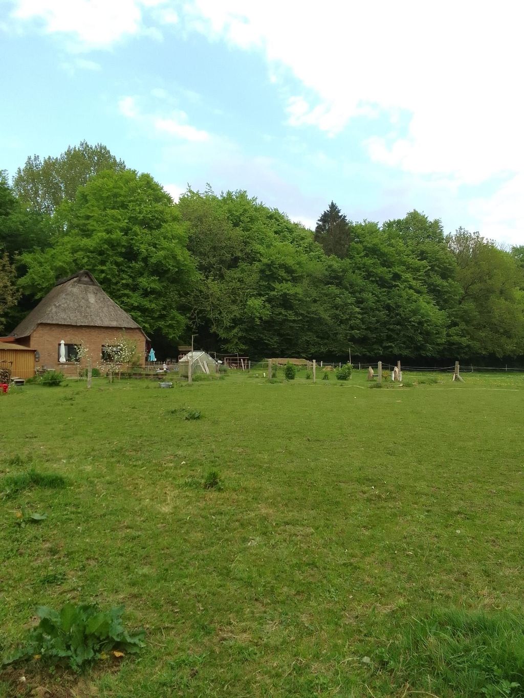 Urlaub im Wald mit direktem Zugang zur Au