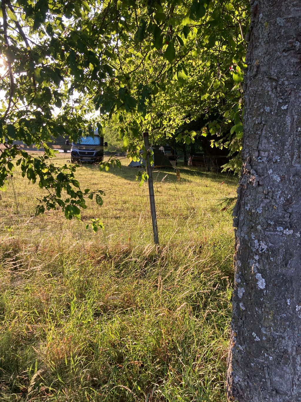 Tranquilidad idílica en el Tannenhof