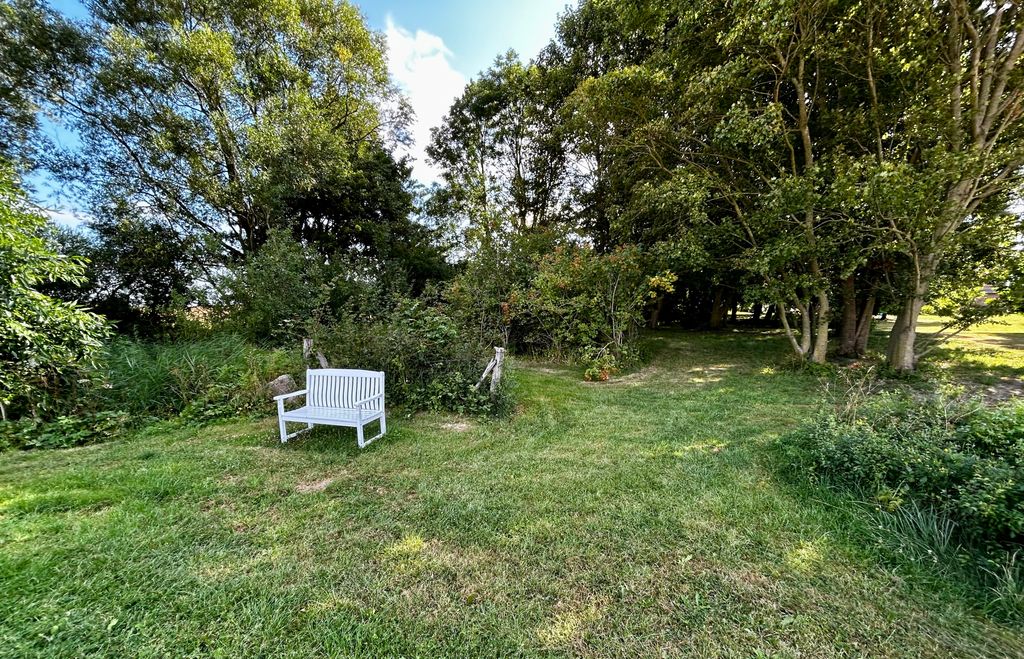 Schöner Panorama-Platz umgeben von alten Bäumen