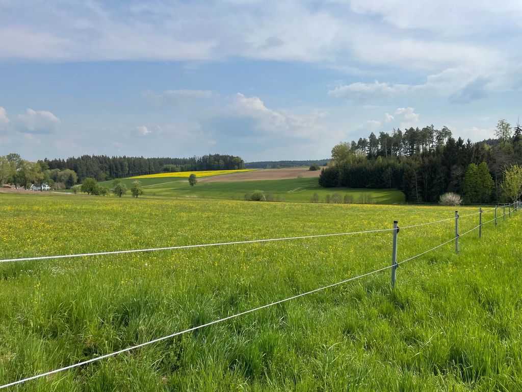 Wiese mit wundervollem Ausblick und Schwimmteich