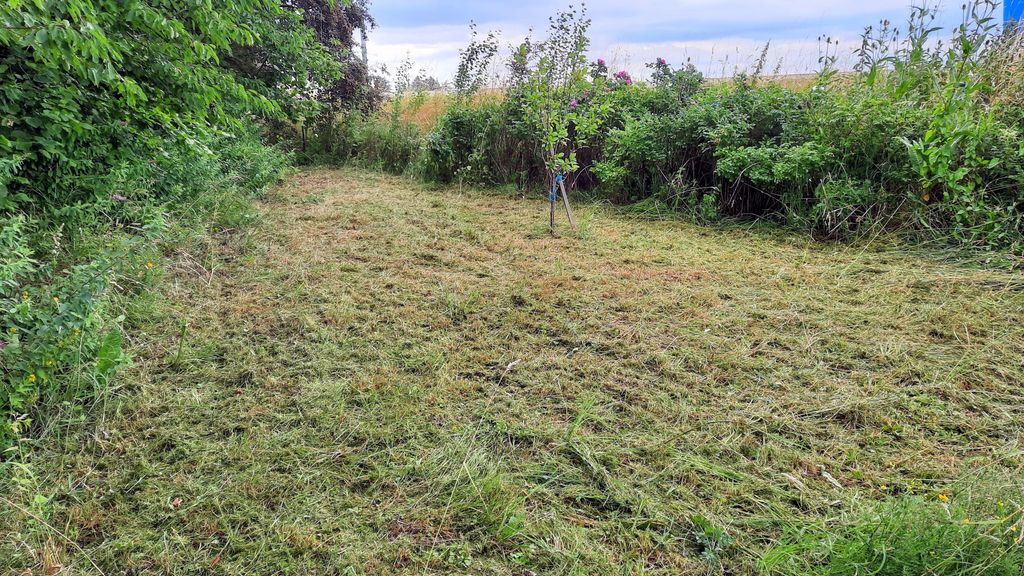 Pradera natural con hermoso mirador cercano