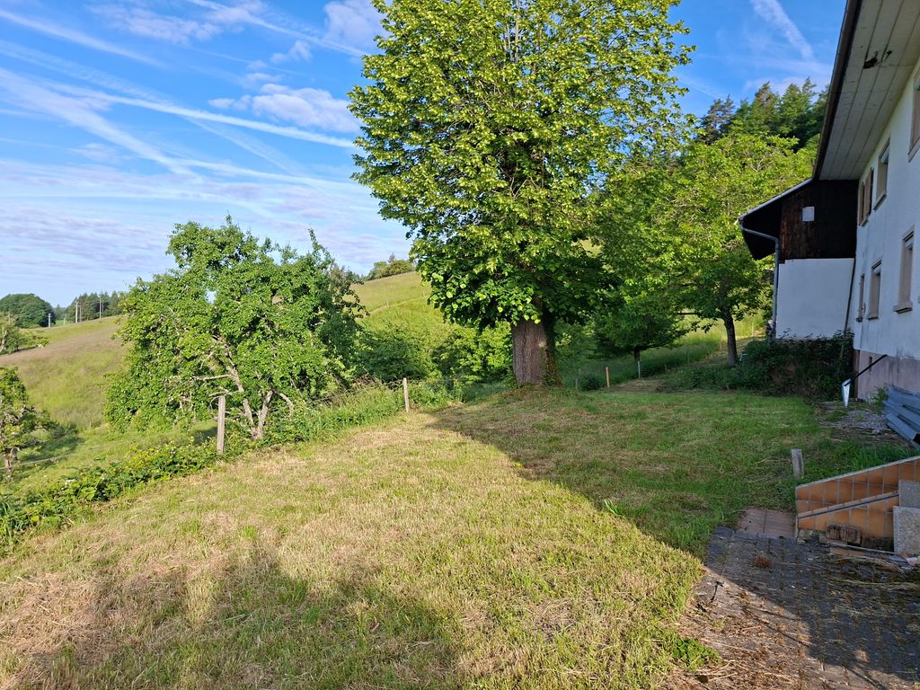 Pitch in the mountains with a view of the Alps