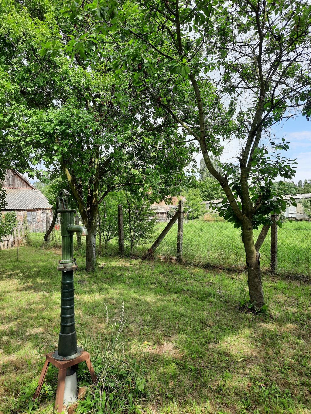 Time out in Hungary - idyll in the countryside