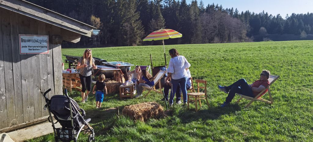 Camping on the alpine pasture and by the stream at 800 meters altitude
