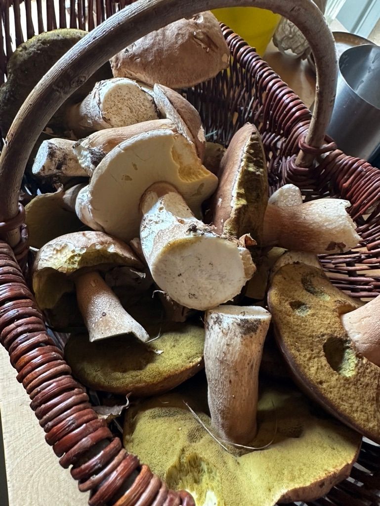 Iglucraft dans le parc naturel de Wendland, près de l'Elbe
