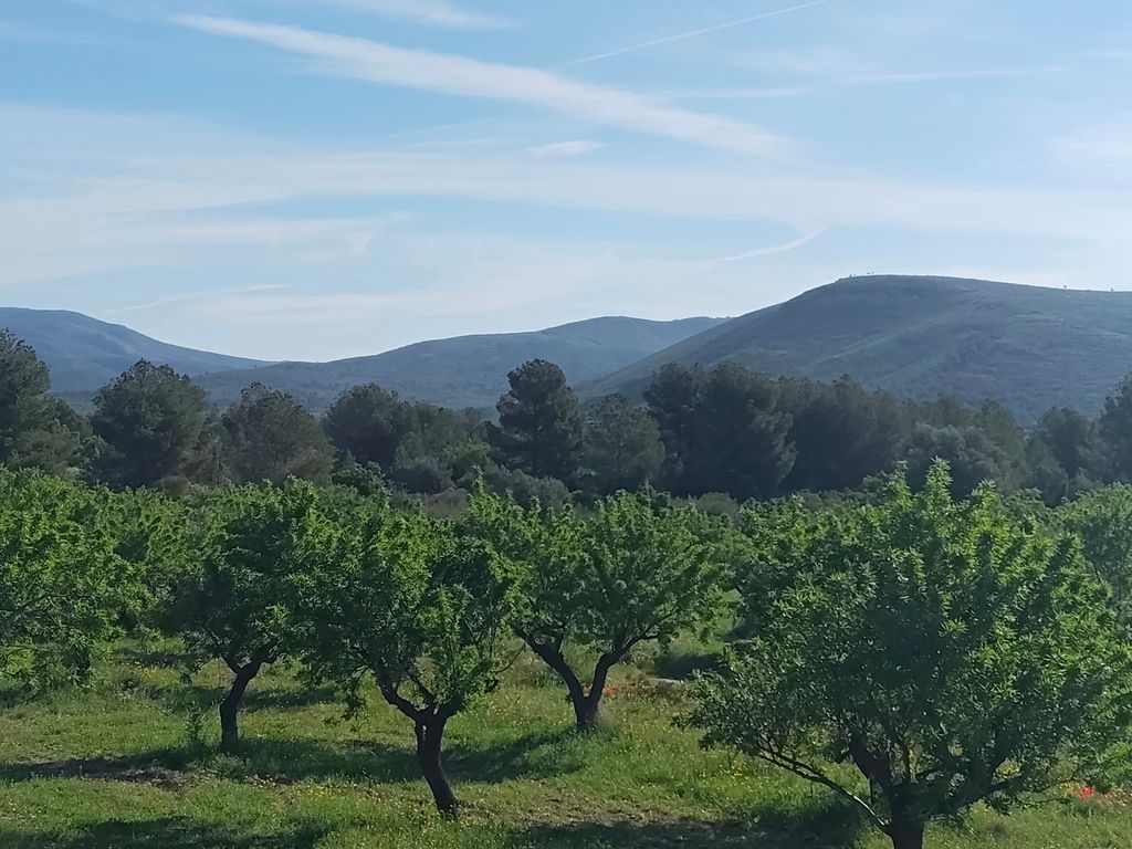 Entre chevaux et amandiers