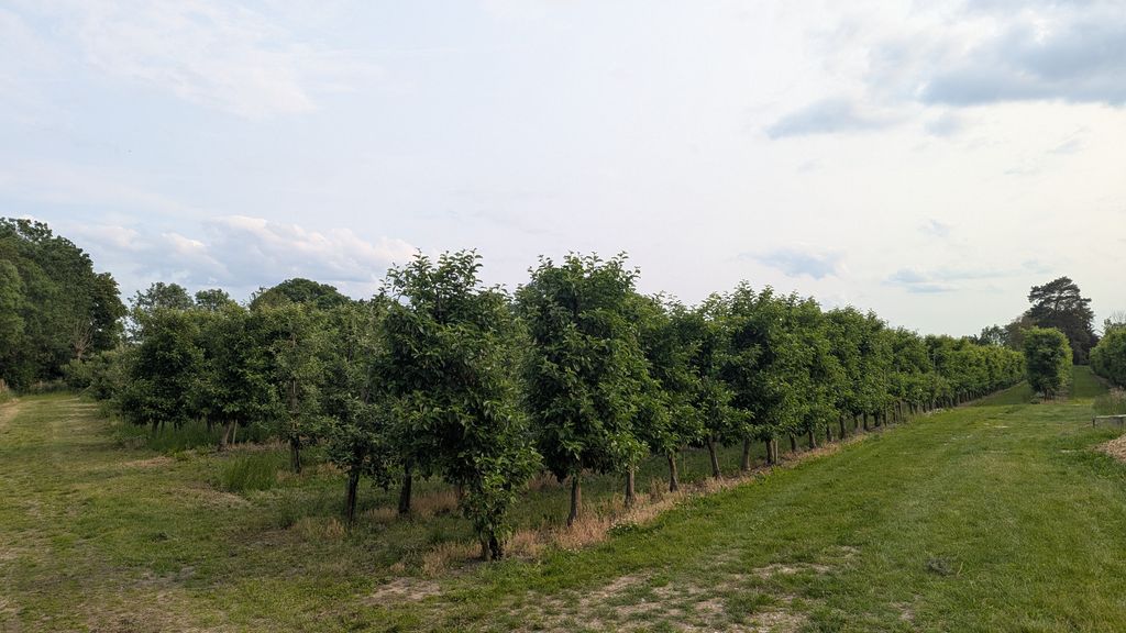 Campen auf unserer Apfelplantage 