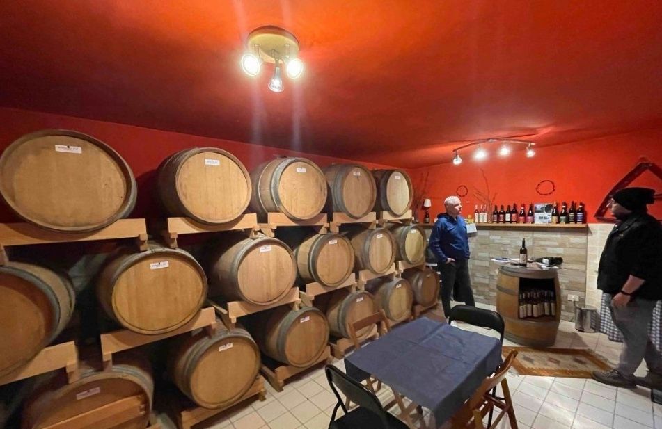 Einzigartige Aussicht vom Weinberg am Hang