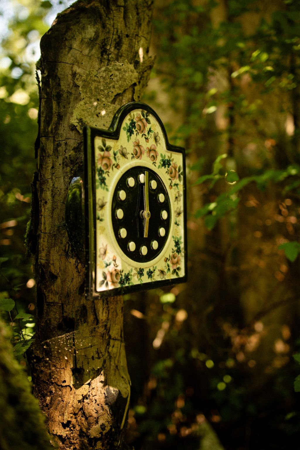 The Last Guest—Between the Disco Ball and the River