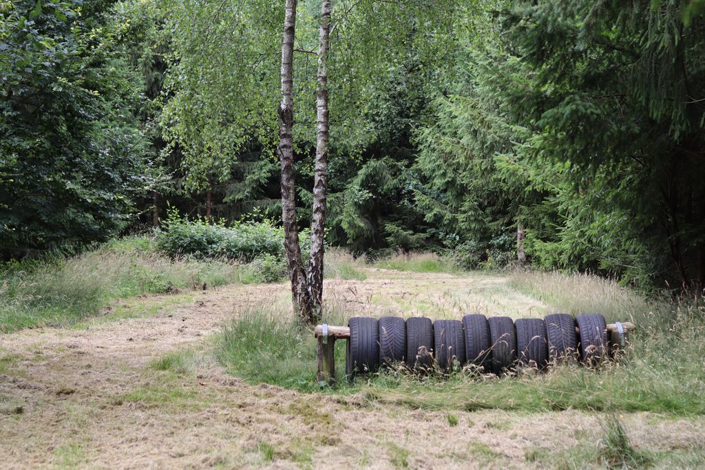 Natural pitch on pasture or in the forest