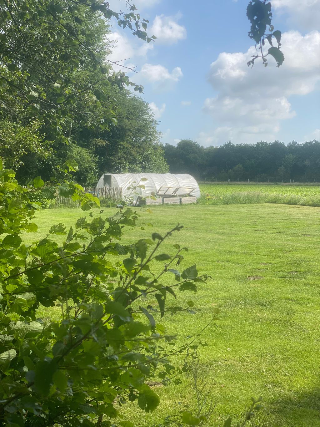 Acampar junto al bosque en Frisia Oriental