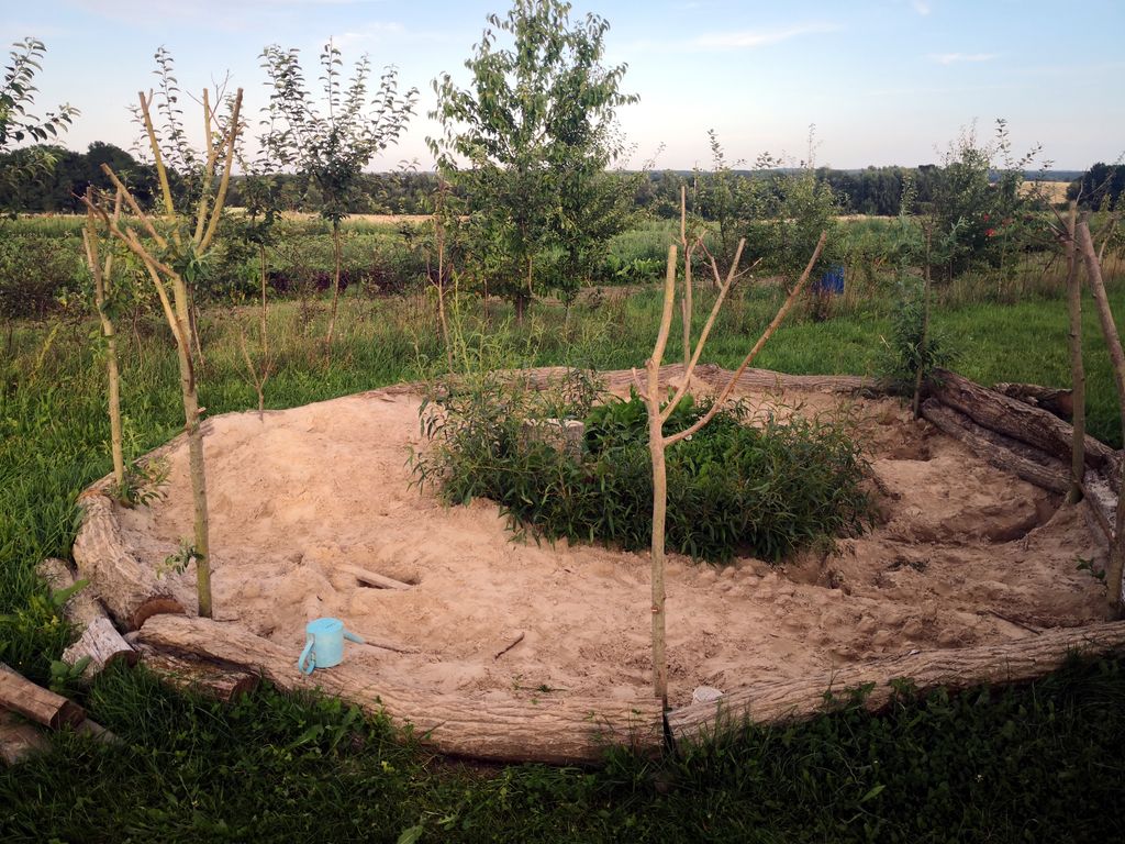 Sogno di bordo campo con vista su pecore e capre