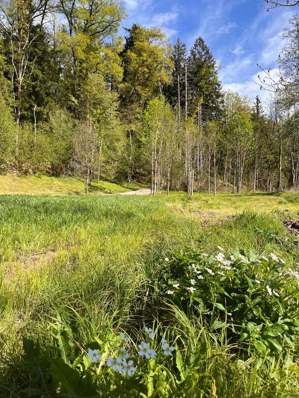 Camping directly by the stream in an idyllic secluded location
