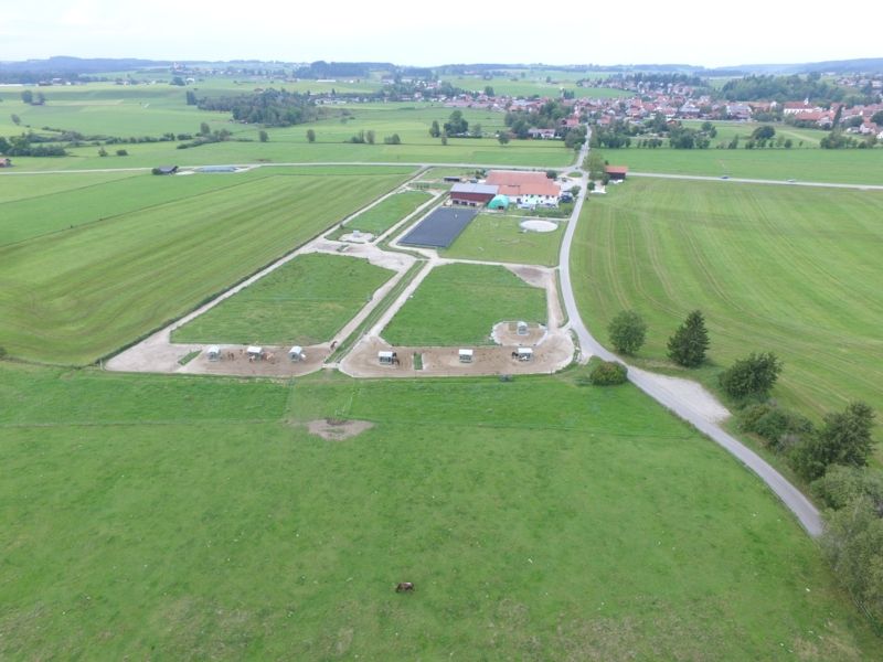 Pferdeparadies Bauernhof "Daylight"
