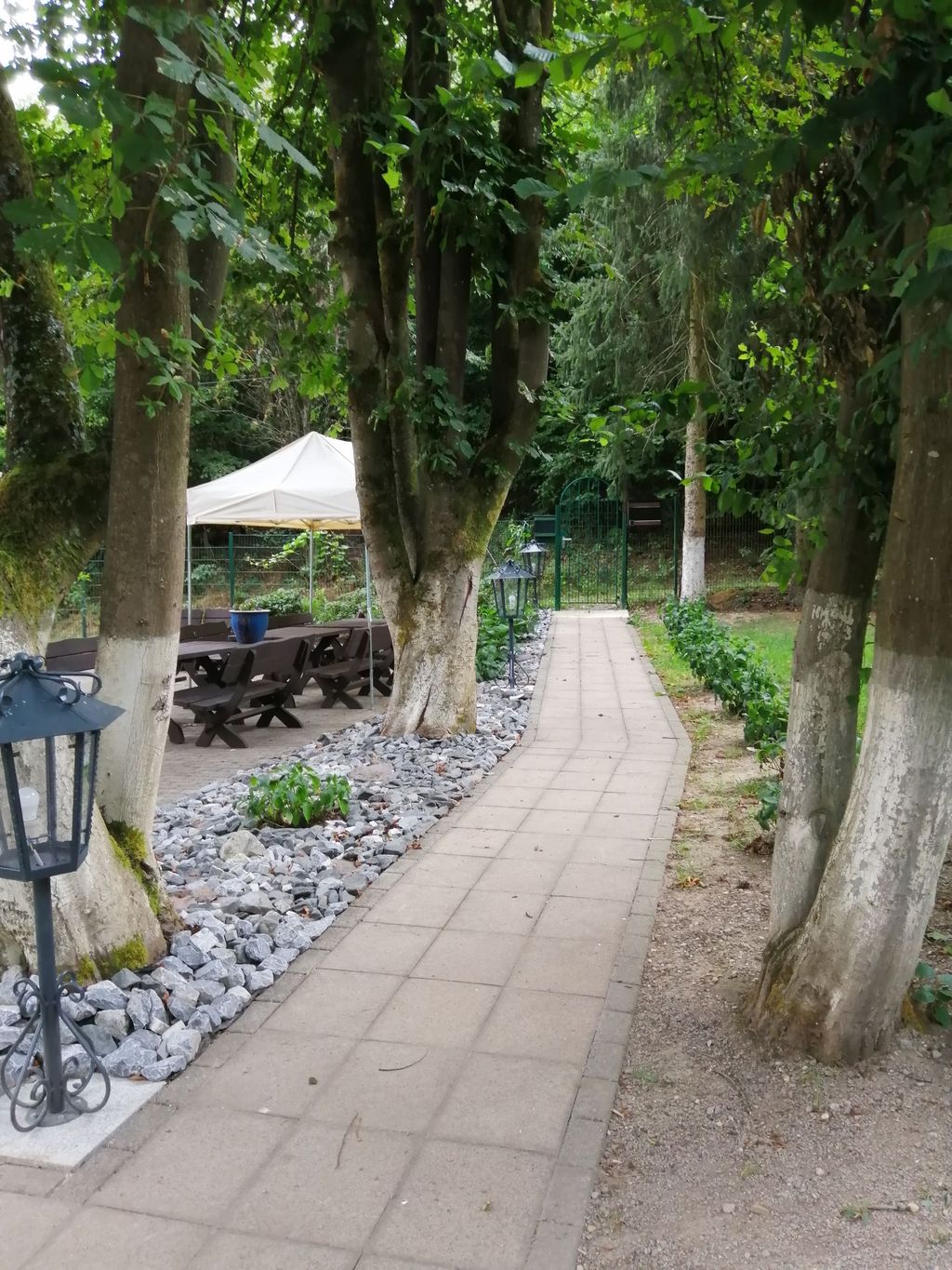 Piazzola con laghetti per la pesca vicino alla foresta