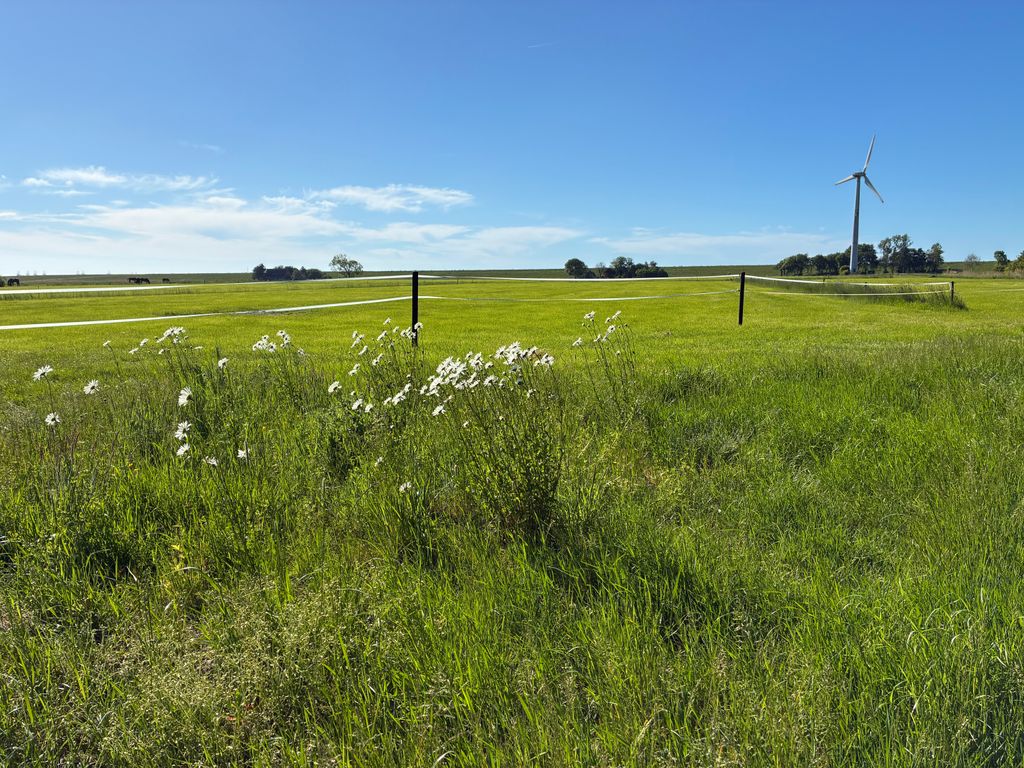 Naturstellplatz an der Nordsee - ruhig & idyllisch