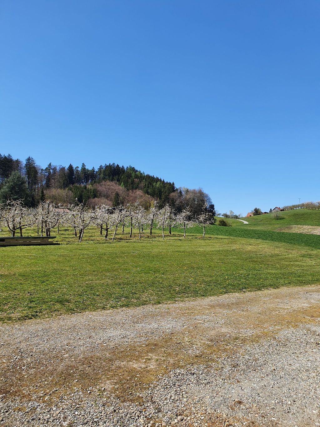 Zwischen Obst und Hopfen im Bodensee-Hinterland