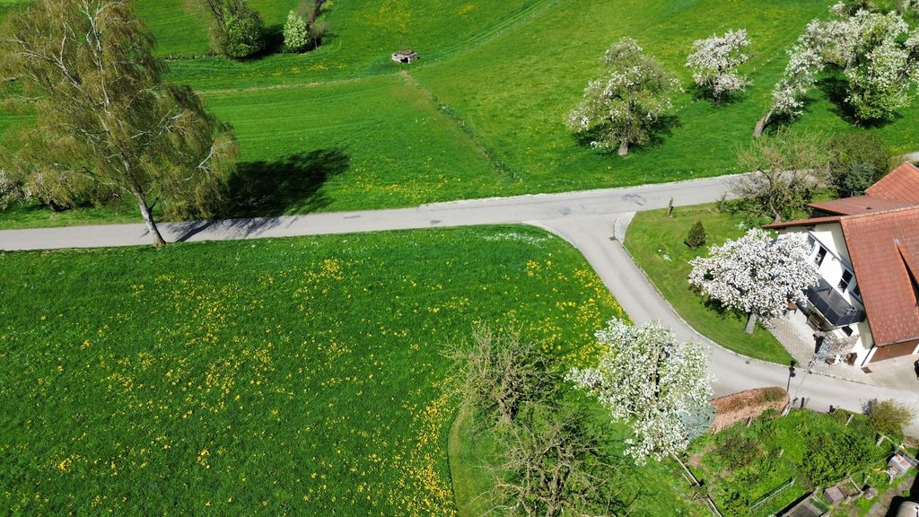 Alleinlage auf der Obstwiese mit Wald & Bach Blick