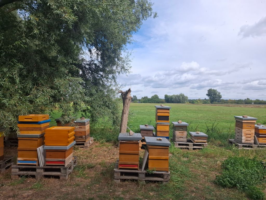 Havelland Kremmen: Stellplatz an der Imkerei