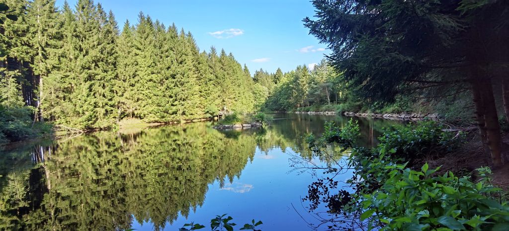 Camping sur l'alpage et au bord du ruisseau à 800 mètres d'altitude