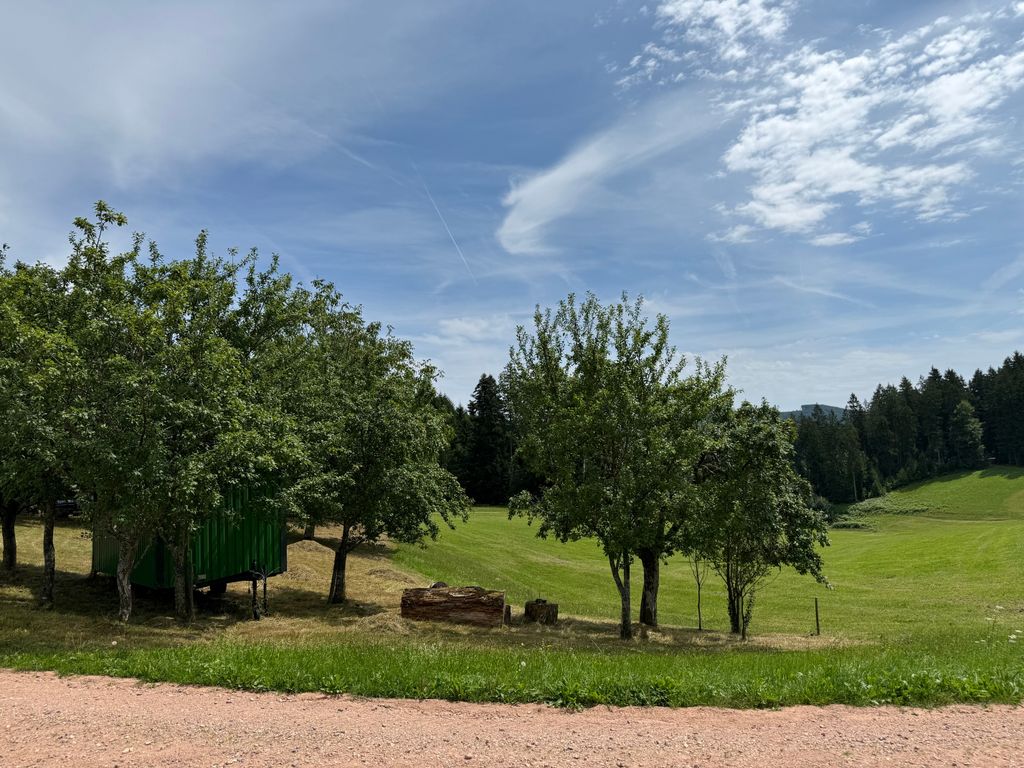 Vivere in una roulotte circondata da alberi da frutto