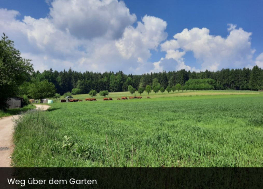 Obstbaumgarten hinterm Haus im Fichtelgebirge