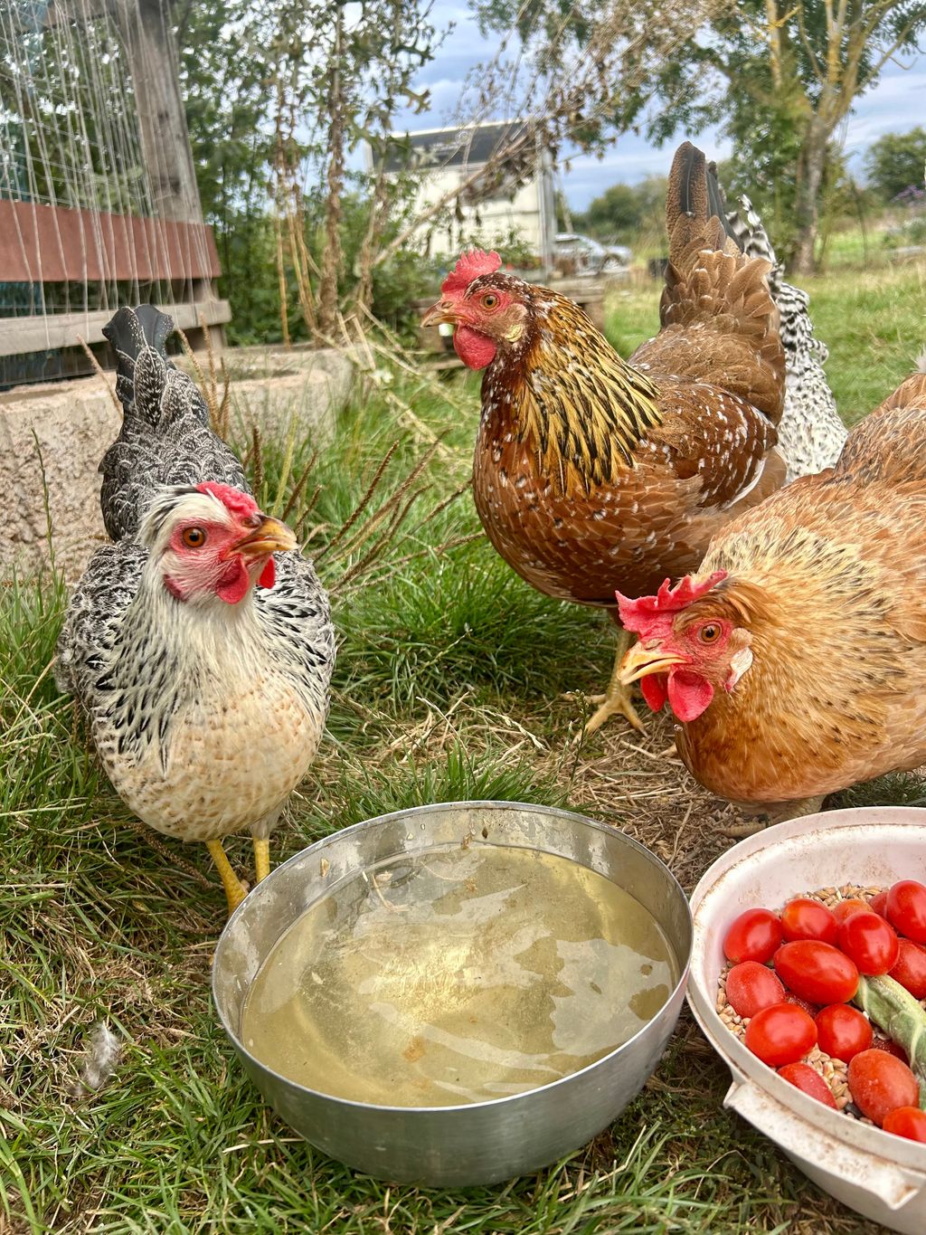 Quiet accommodation in the Elster Valley