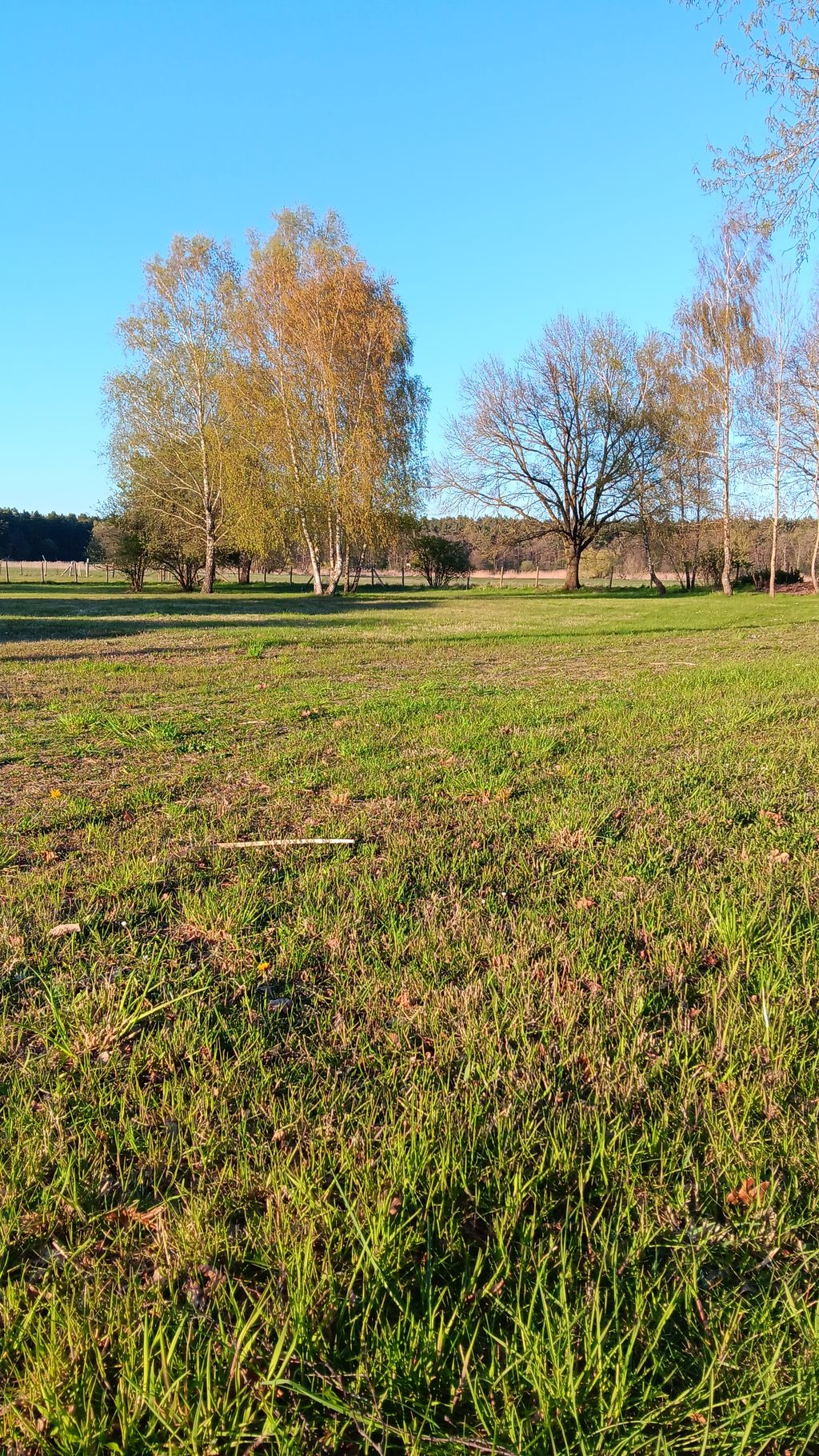 Large natural meadow next to the house: Peace and quiet, just 200 meters from the river