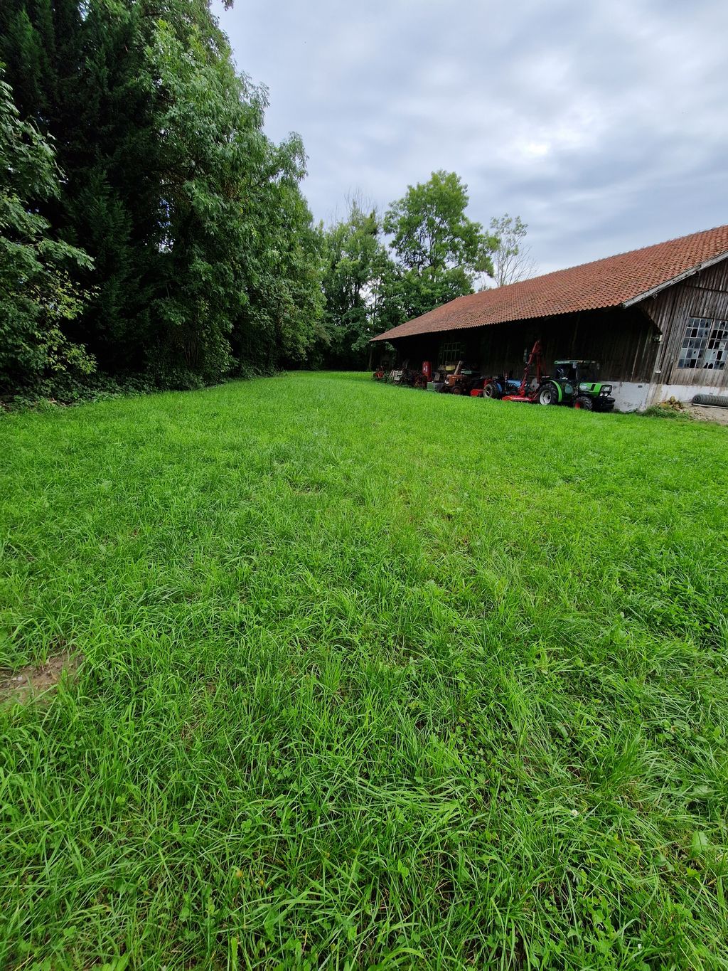 At the old sawmill by the stream