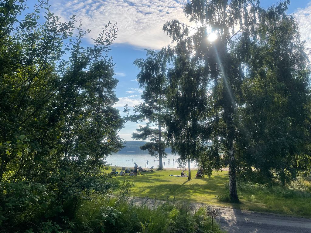 Camper spots by Finnsjön – forest, beach & trails