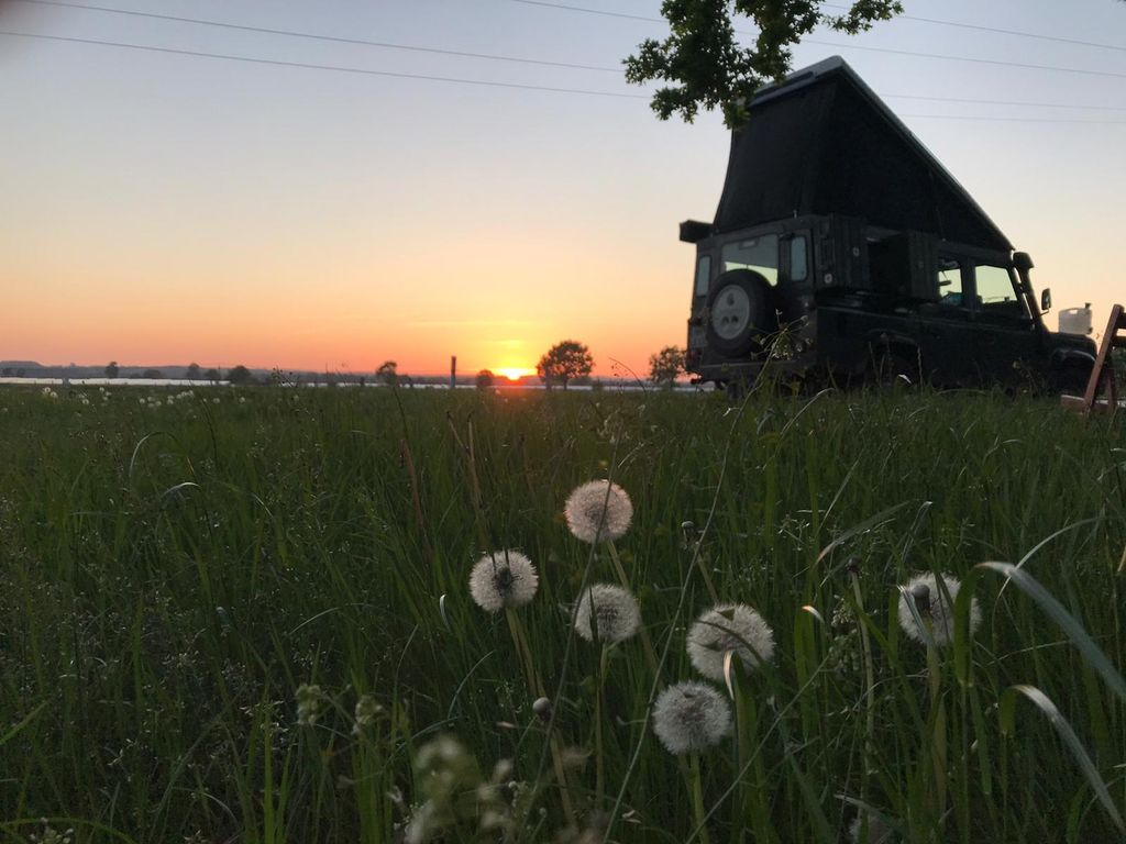 Übernachtung auf dem Bauernhof mit Kuhblick