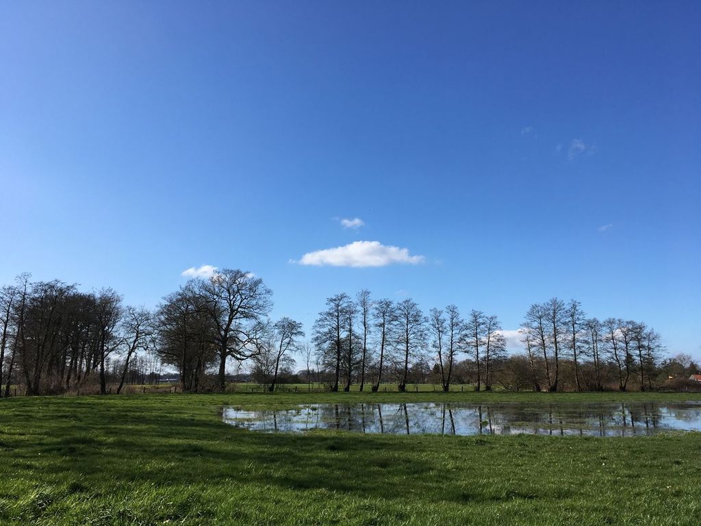 Al pascolo nell'idilliaca campagna vicino a Brema