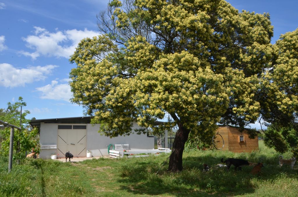 Ecovillage : Tente et camping-car à la campagne