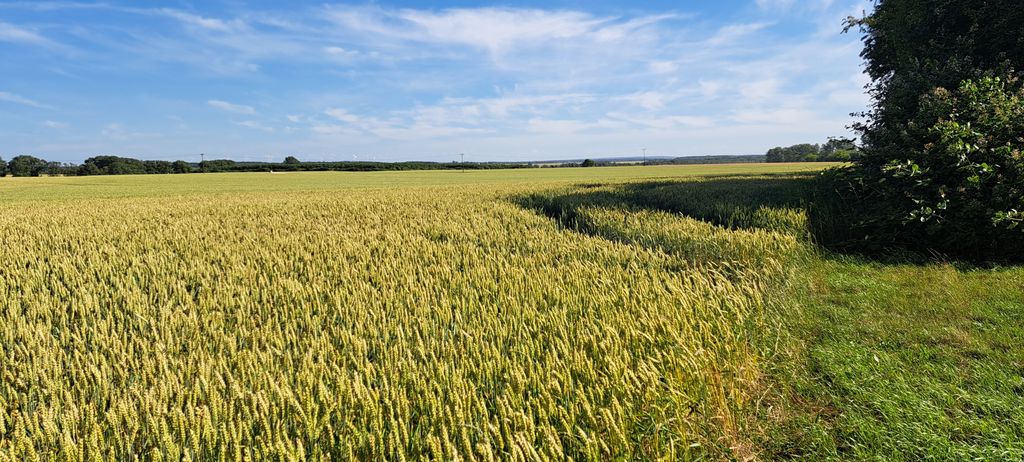 Aparcamiento de la pradera cerca del valle del Peene