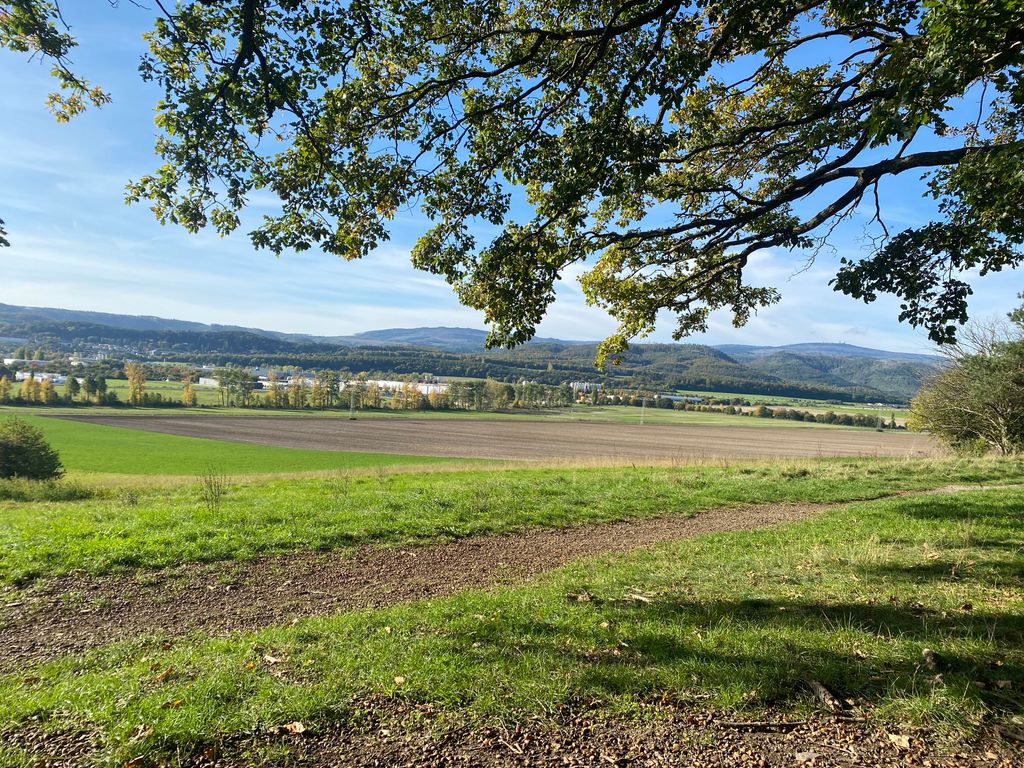 Experience nature with a view of the Harz Mountains
