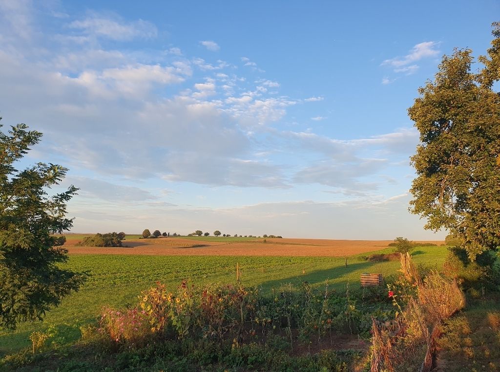Hof in ruhiger Alleinlage mit Aussicht