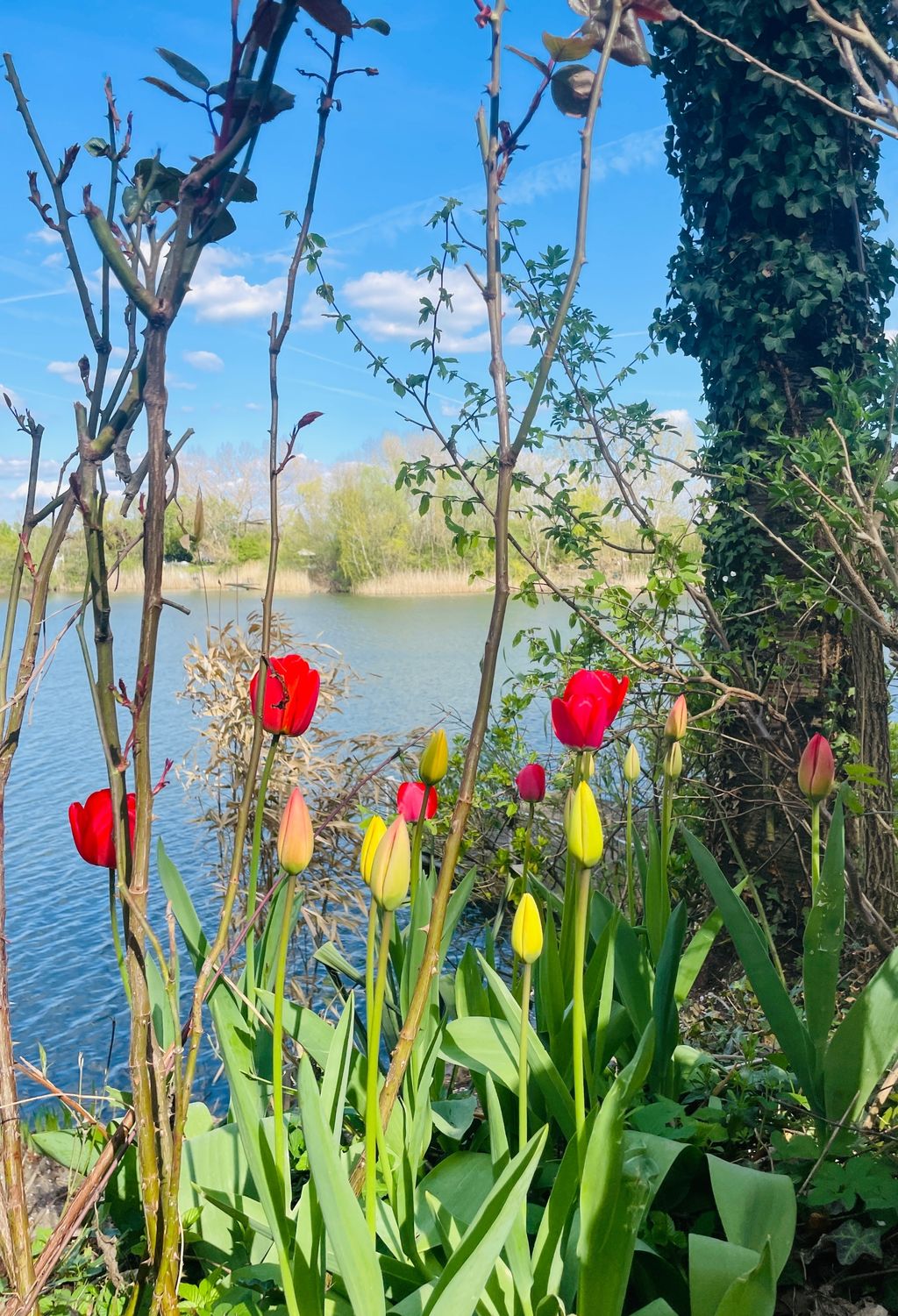 Paradies direkt am Privat See (Preis für 12 Pers.)