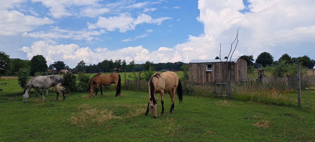 Carrozzone del circo nella riserva della biosfera