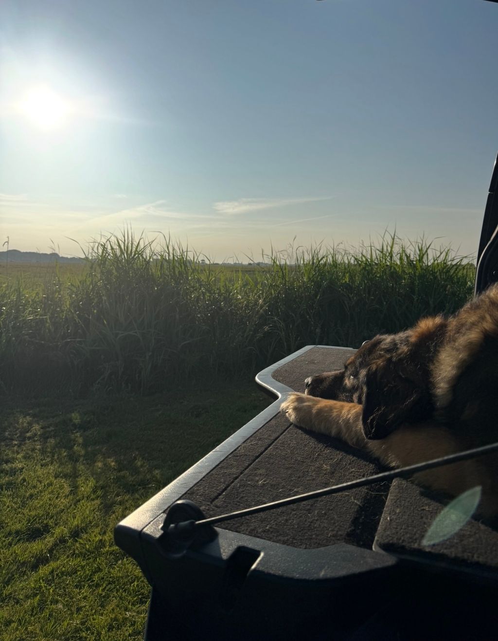 Marschland-Weitblick vor Sankt Peter-Ording