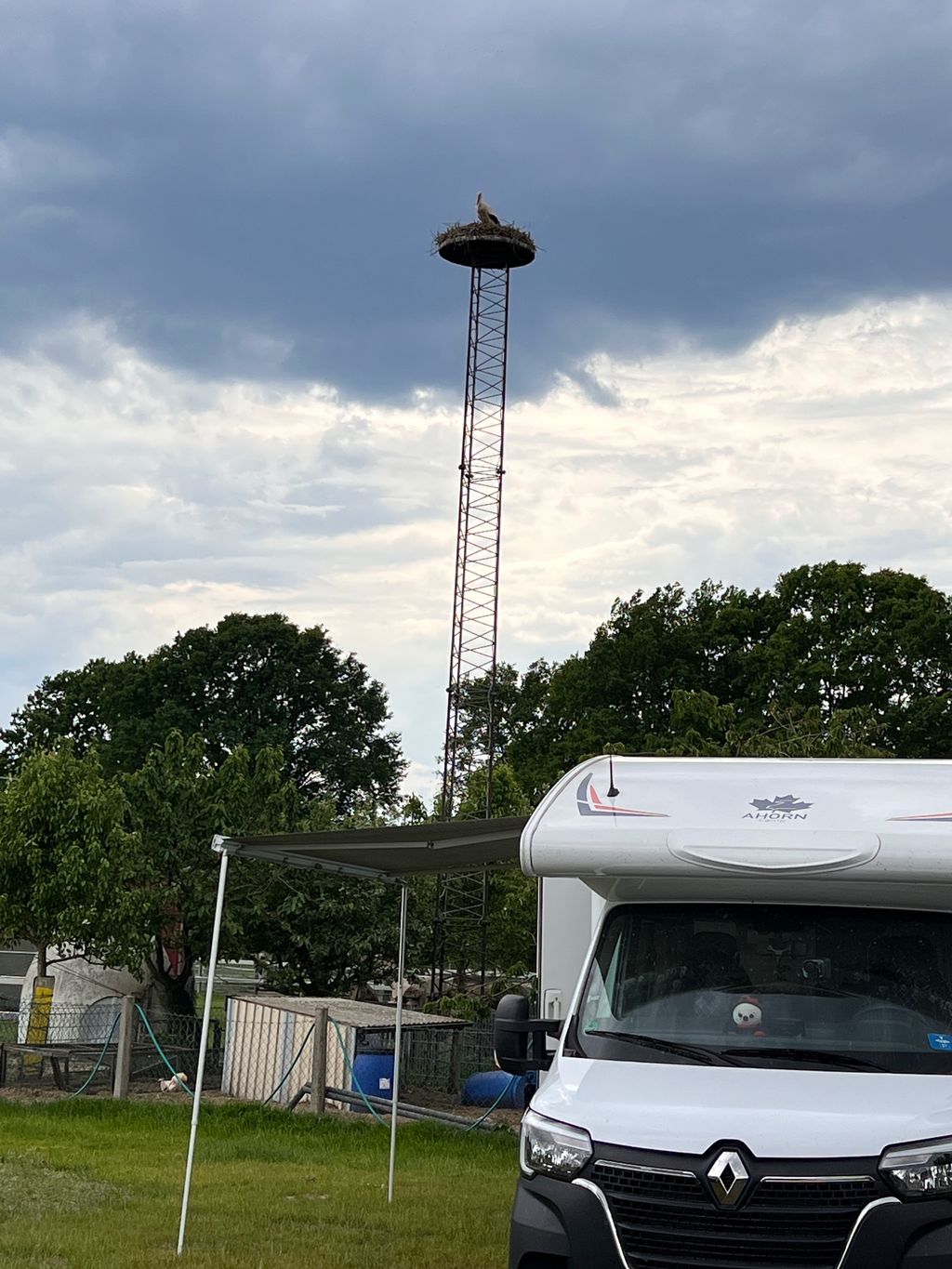 Poitou-Esel Stellplatz am Steinhuder-Meer