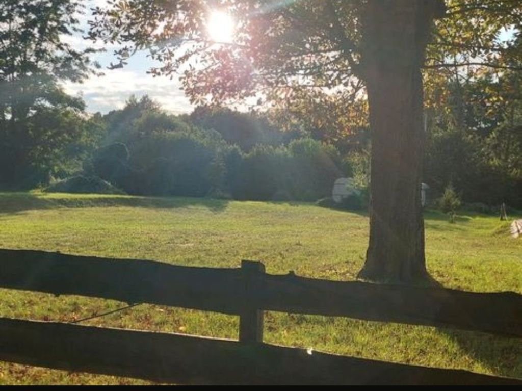 Camping in the Mecklenburg Lake District