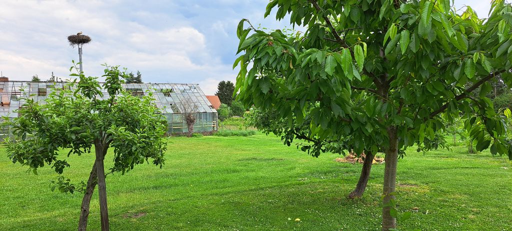 Storchenblick - nature and tranquillity on the outskirts of the city