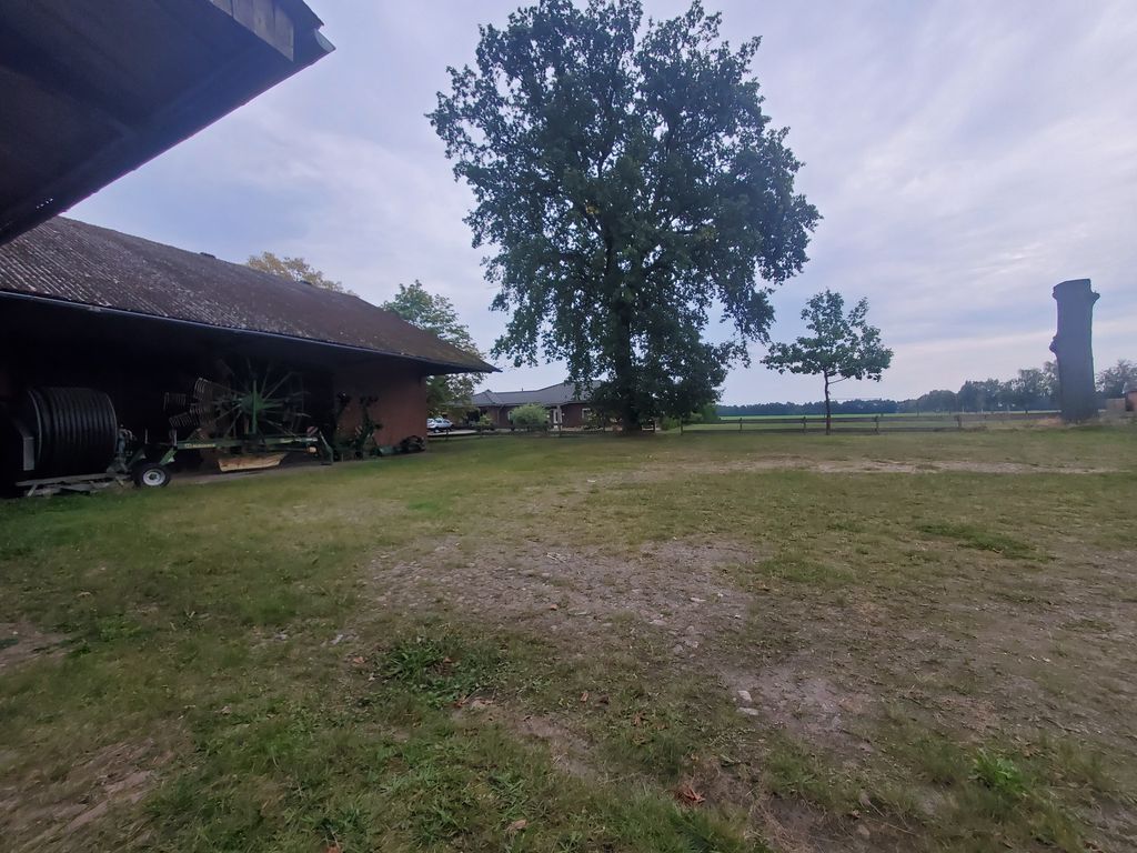 Schlafen in Allersehlenruhe unter 1 ½ Eichen