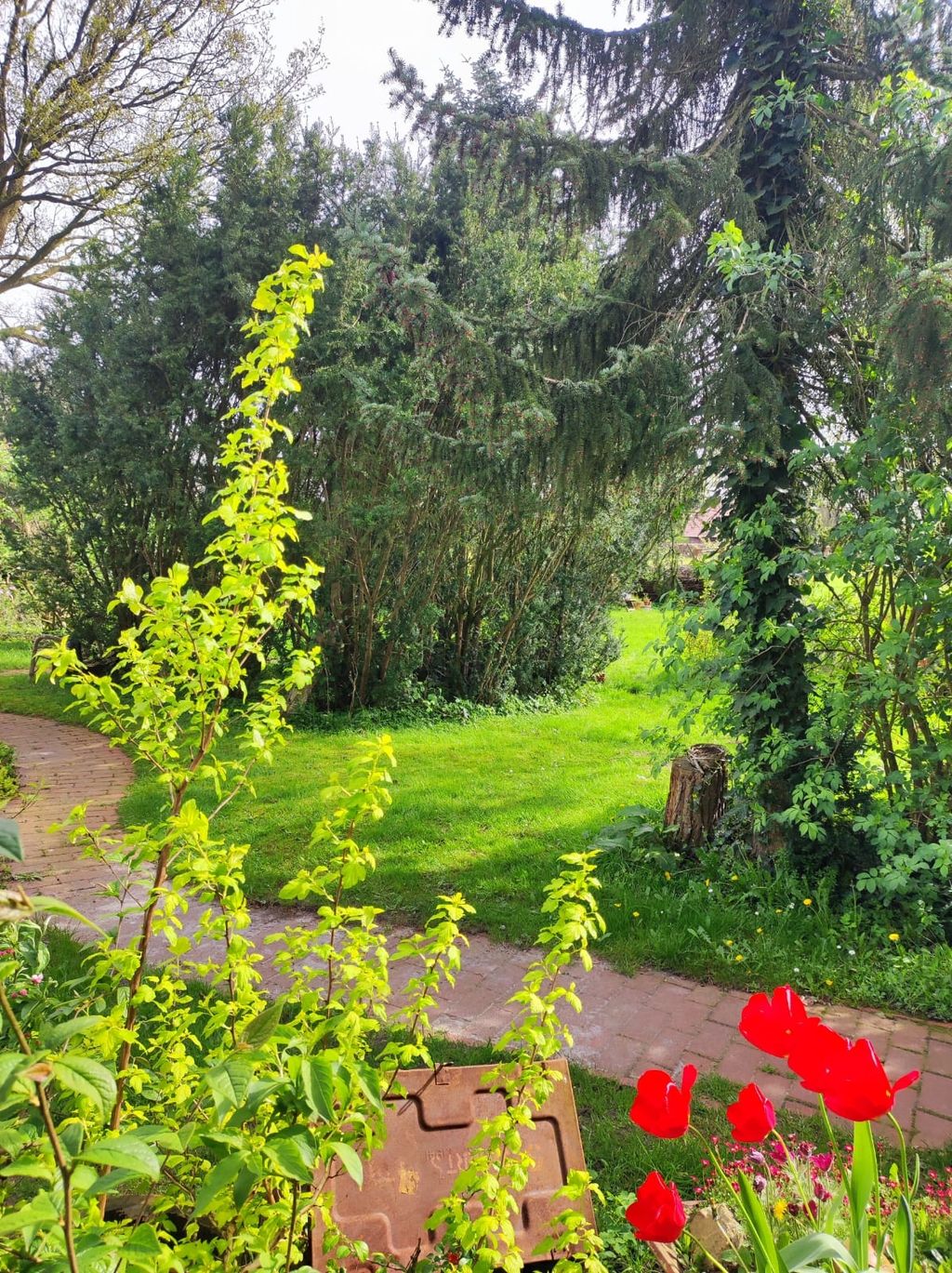 Camping en el jardín entre el mar de Frisia y la bahía de Jade